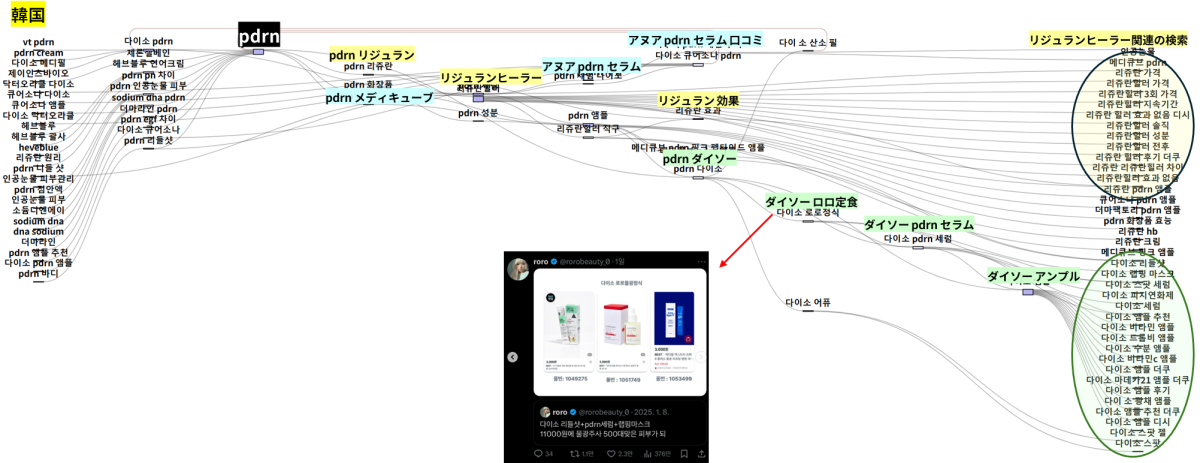 韓国の消費者がpdrnの前後に検索している経路を可視化した図