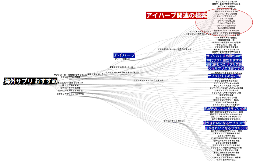 “海外サプリ おすすめ”を検索する消費者の経路を可視化したパスファインダーの図。